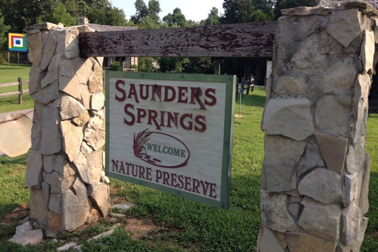things-to-do-saunders-springs-nature-preserve
